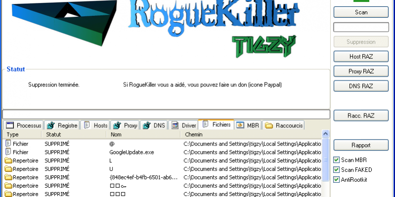 RogueKillerCMD 4.6.0.0 instaling